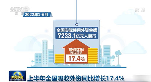 上半年全國吸收外資同比增長17.4%，信息技術咨詢服務成亮點