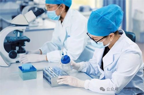 中舜生物 一站式大健康食品OEM，信息技術咨詢服務賦能品牌快速成長